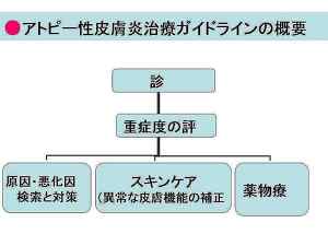 アトピー性皮膚炎治療ガイドラインの概要